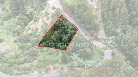 Terreno para Venda em Santa Cruz