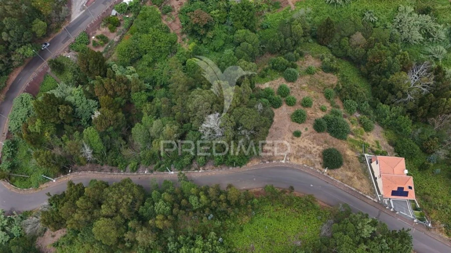Terreno para Venda em Santa Cruz Foto 3