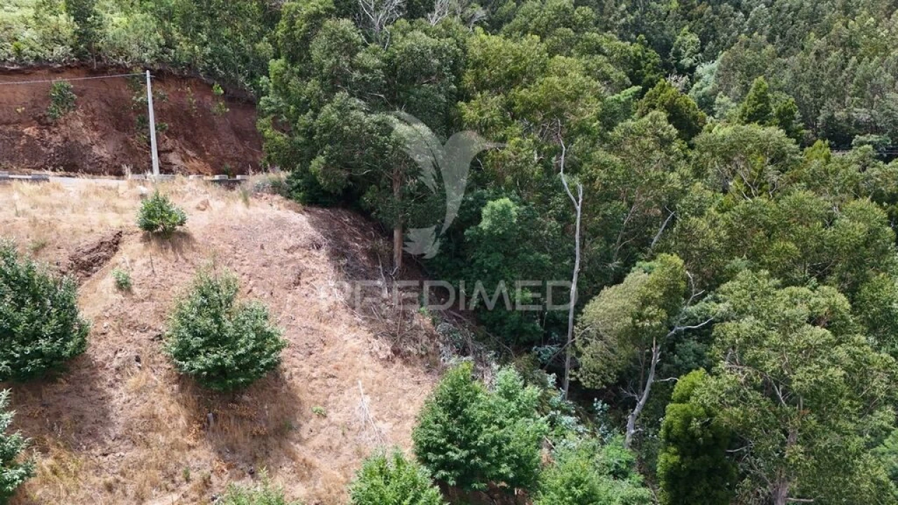 Terreno para Venda em Santa Cruz Foto 6