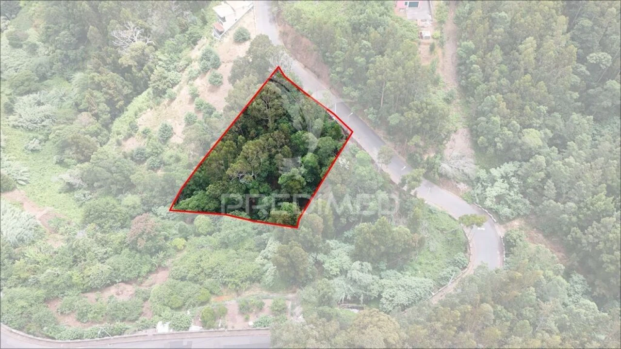 Terreno para Venda em Santa Cruz Foto 1