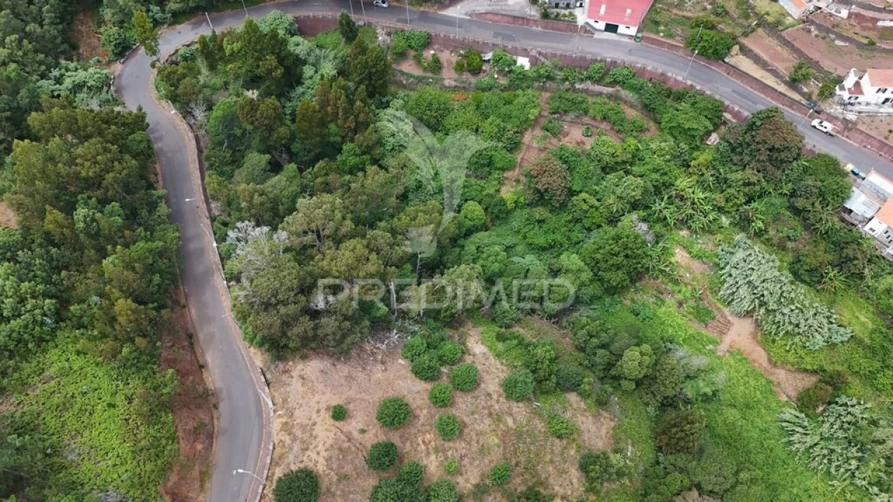 Terreno para Venda em Santa Cruz Foto 4