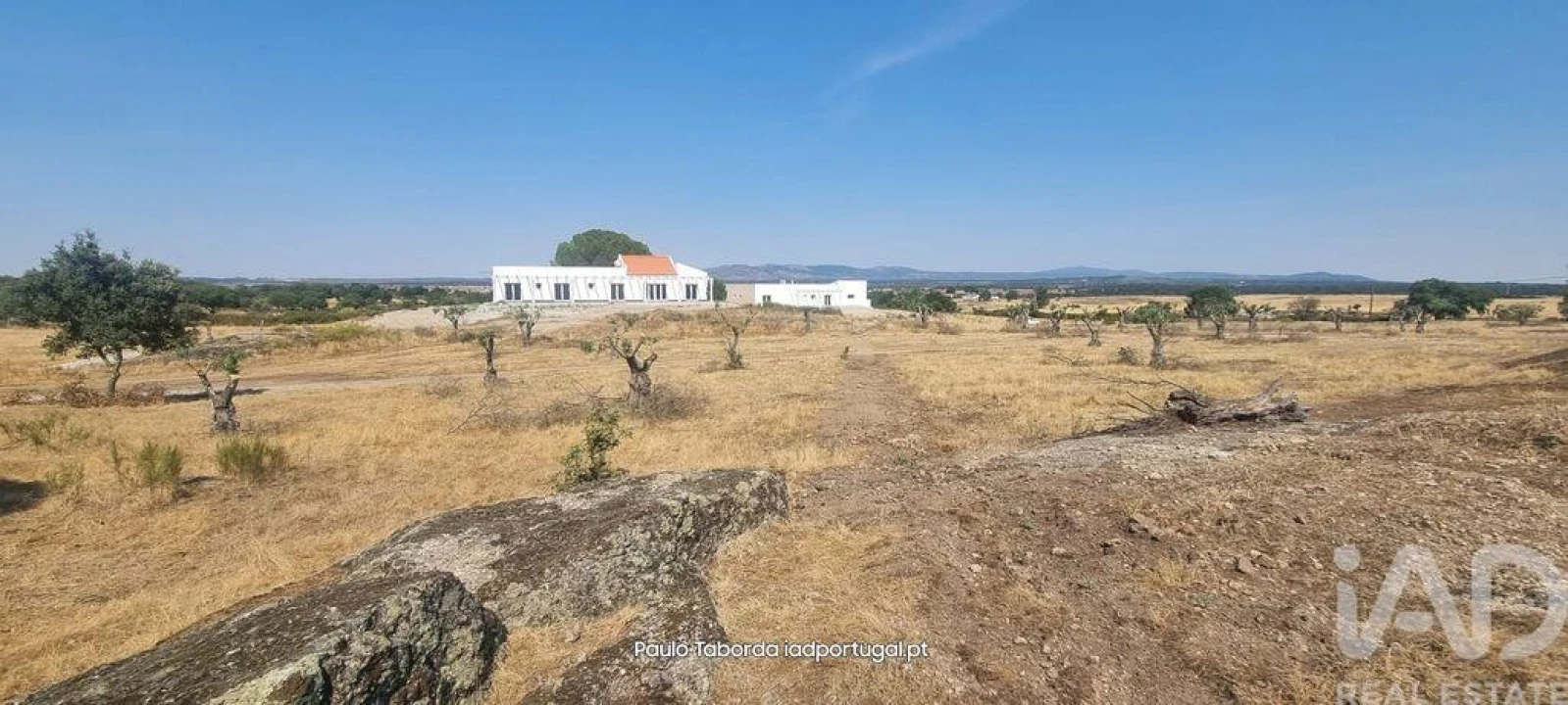 Quinta T6 para Venda em Alpalhão Foto 4