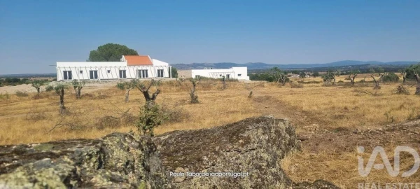 Quinta T6 para Venda em Alpalhão