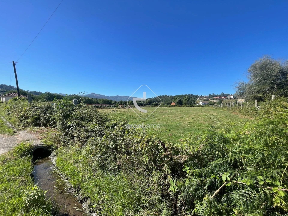 Terreno para Venda em Grade e Carralcova Foto 3