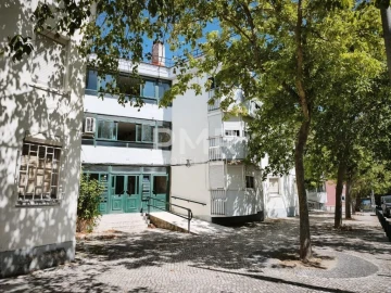 Apartamento T3 para Venda em Olivais
