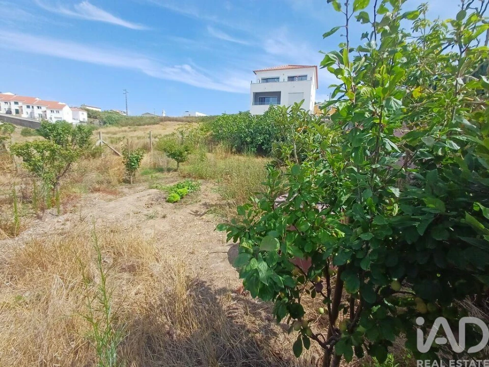 Terreno para Venda em Lourinhã e Atalaia Foto 6