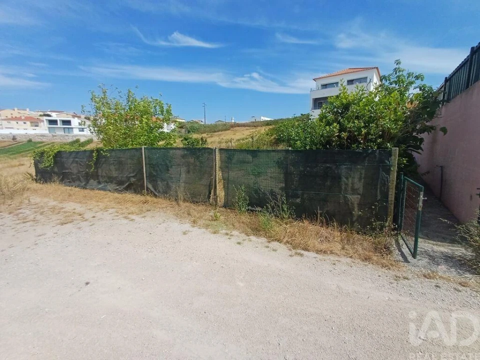 Terreno para Venda em Lourinhã e Atalaia Foto 7