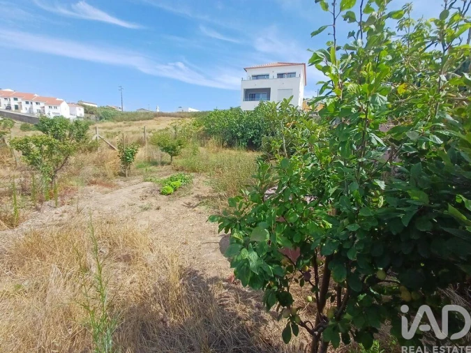 Terreno para Venda em Lourinhã e Atalaia Foto 6