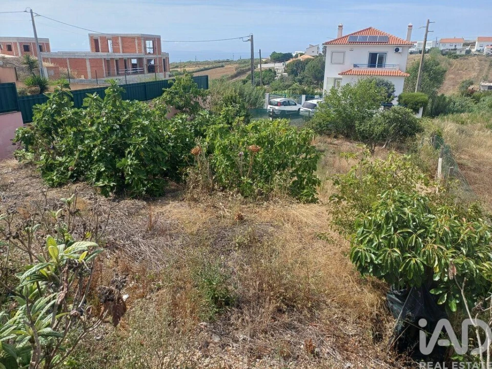 Terreno para Venda em Lourinhã e Atalaia Foto 10