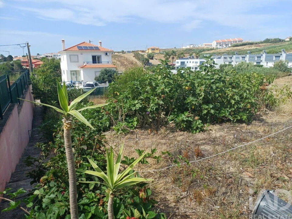Terreno para Venda em Lourinhã e Atalaia Foto 8