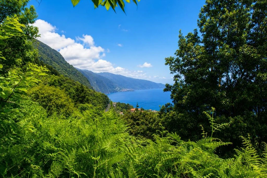 Terreno para Venda em Ponta Delgada Foto 7