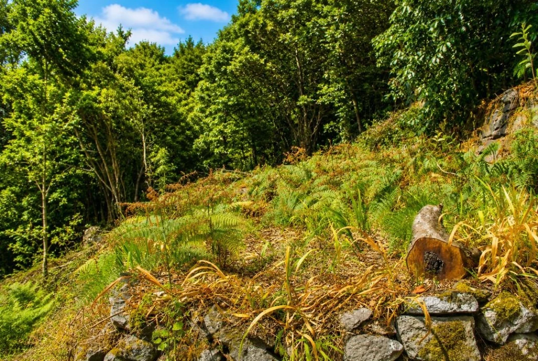 Terreno para Venda em Ponta Delgada Foto 19