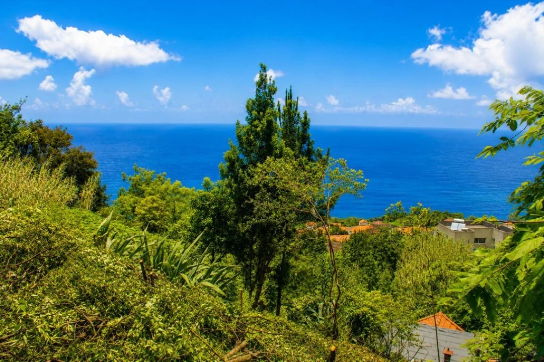 Terreno para Venda em Ponta Delgada Foto 22