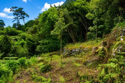 Terreno para Venda em Ponta Delgada