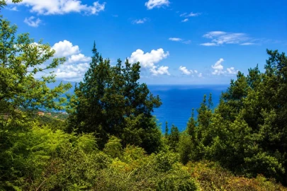Terreno para Venda em Ponta Delgada