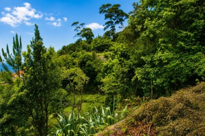 Terreno para Venda em Ponta Delgada
