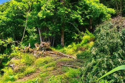 Terreno para Venda em Ponta Delgada