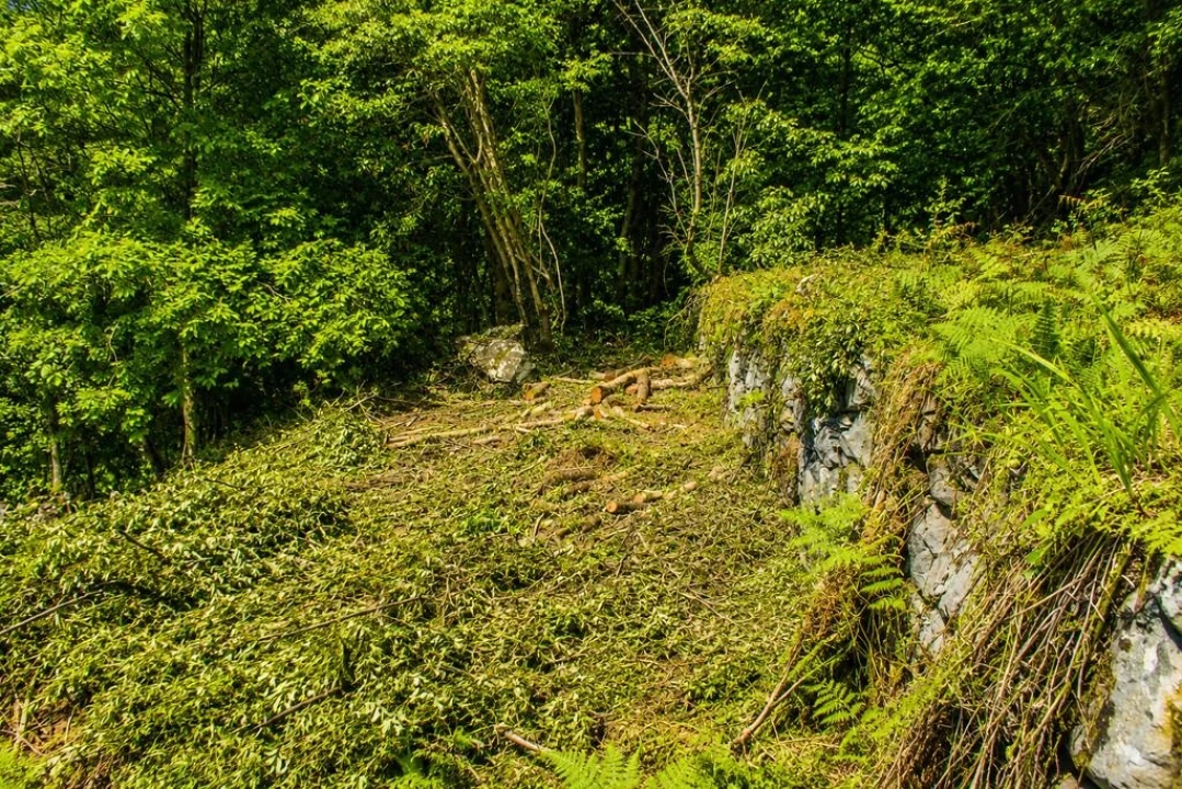 Terreno para Venda em Ponta Delgada Foto 21
