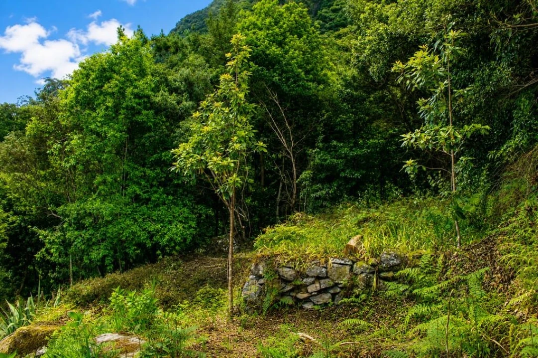 Terreno para Venda em Ponta Delgada Foto 14
