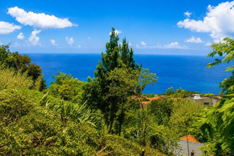 Terreno para Venda em Ponta Delgada Foto 22