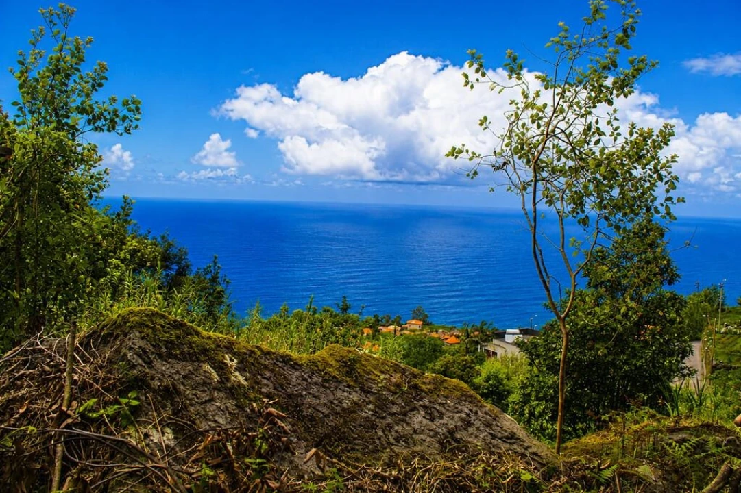 Terreno para Venda em Ponta Delgada Foto 18