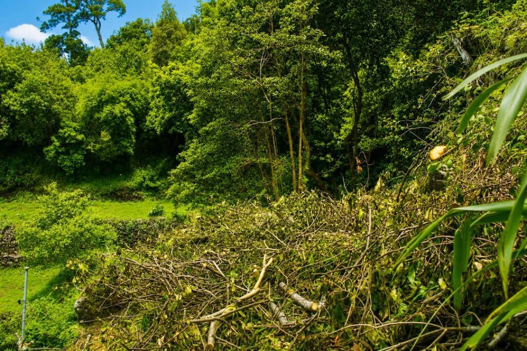 Terreno para Venda em Ponta Delgada Foto 12
