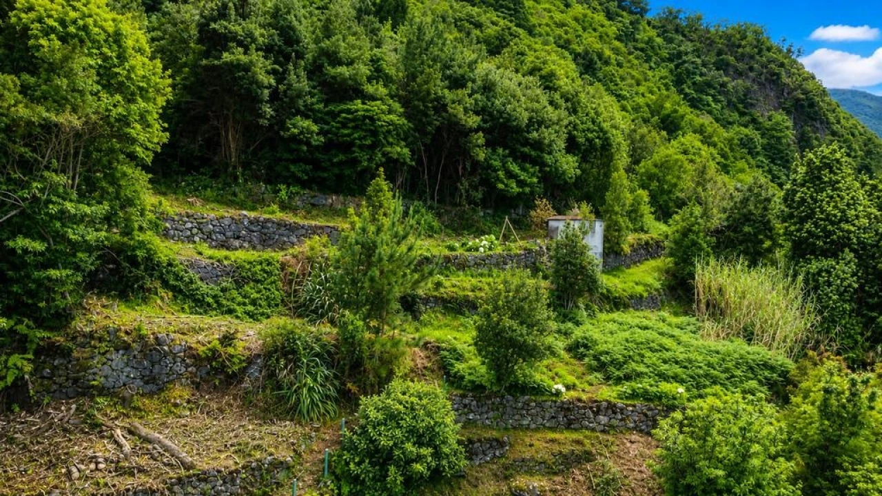 Terreno para Venda em Ponta Delgada Foto 5