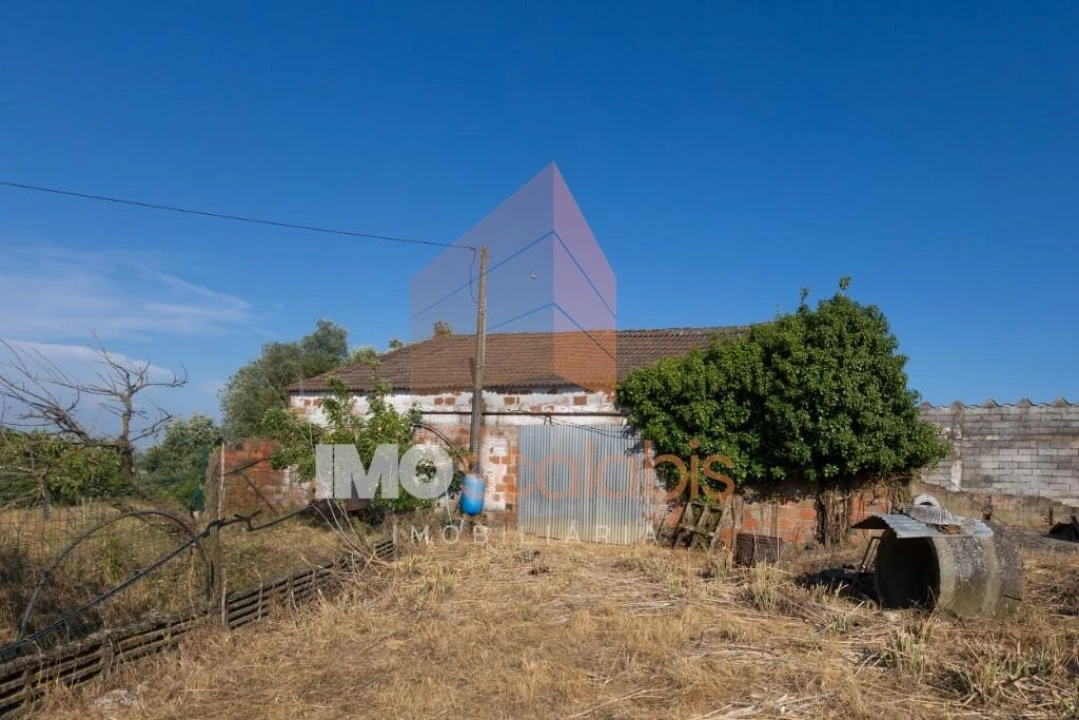 Moradia T3 para Venda em Almoster Foto 46