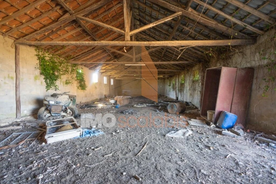 Moradia T3 para Venda em Almoster Foto 45