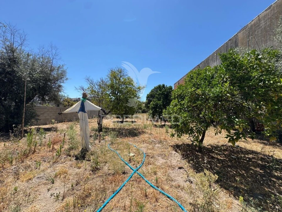 Moradia T4 para Venda em Abrantes (São Vicente e São João) e Alferrarede Foto 17