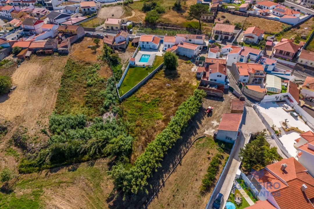 Terreno para Venda em Tornada e Salir do Porto Foto 16