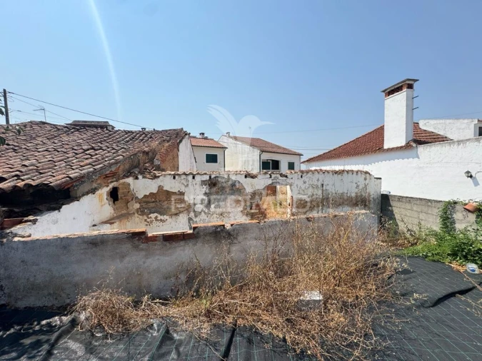 Moradia T3 para Venda em São Miguel do Rio Torto e Rossio Ao Sul do Tejo Foto 5