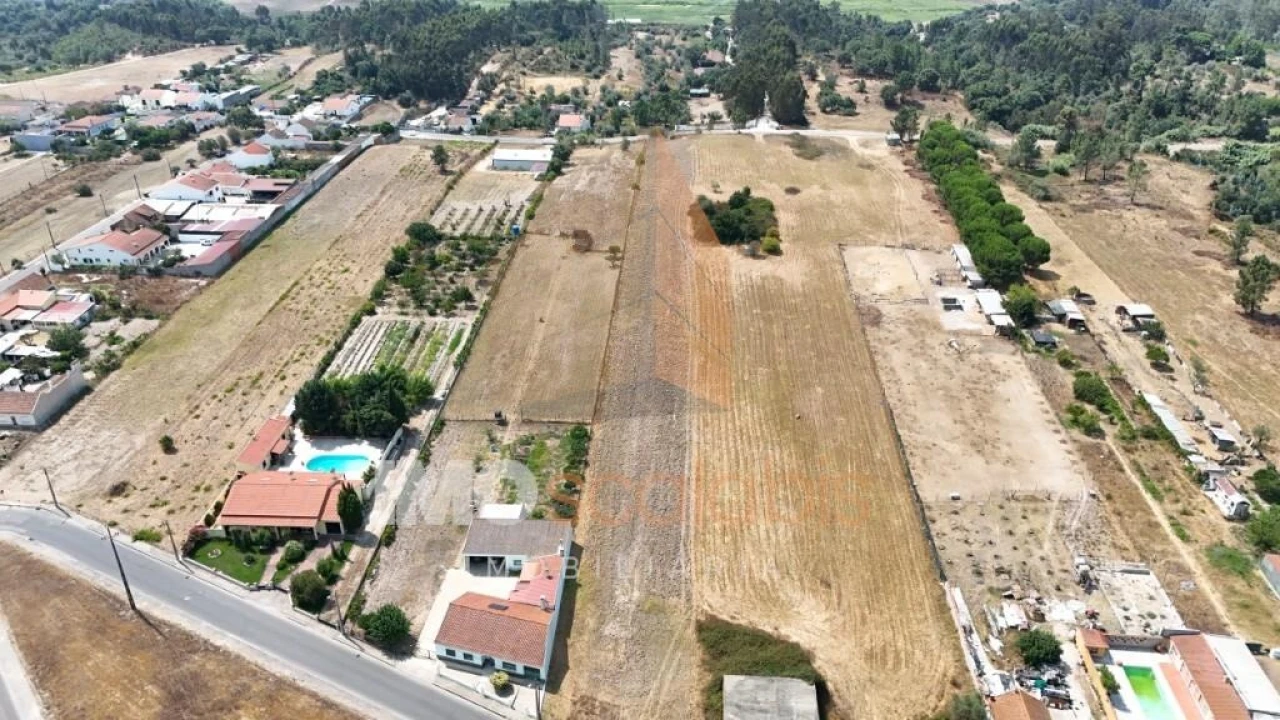 Terreno para Venda em Alpiarça Foto 2