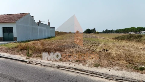 Terreno para Venda em Alpiarça