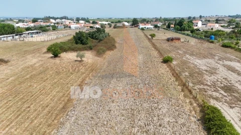 Terreno para Venda em Alpiarça