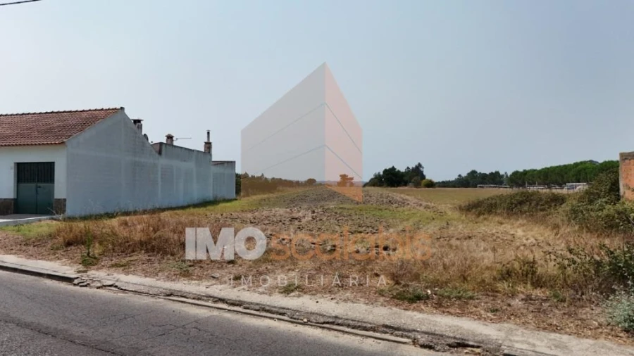 Terreno para Venda em Alpiarça Foto 10