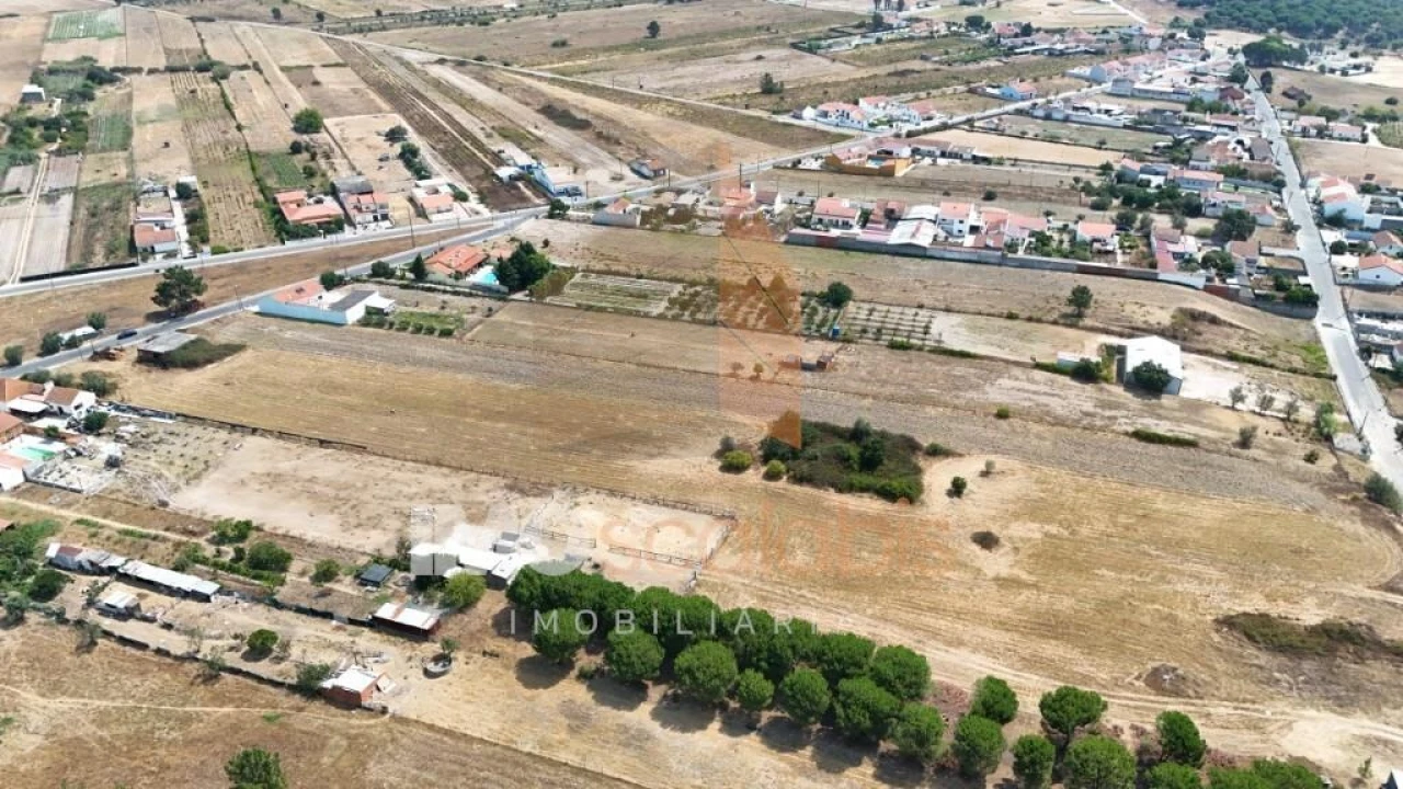 Terreno para Venda em Alpiarça Foto 4