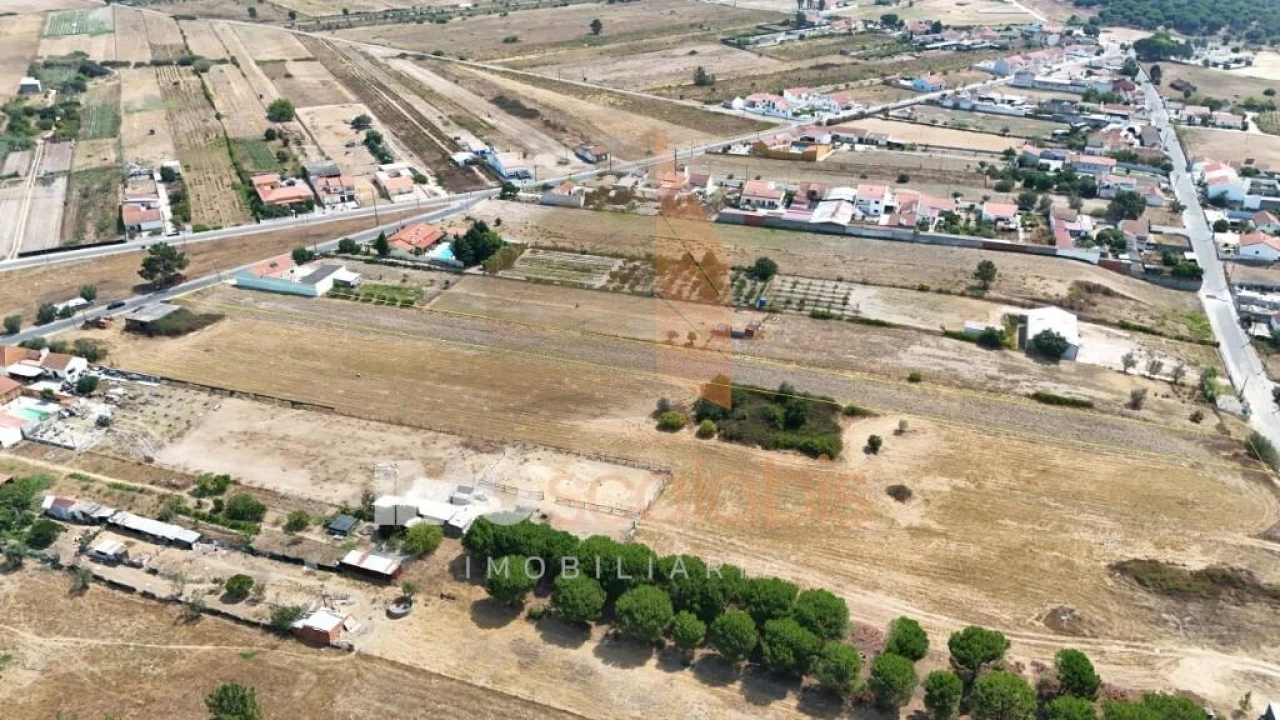 Terreno para Venda em Alpiarça Foto 14