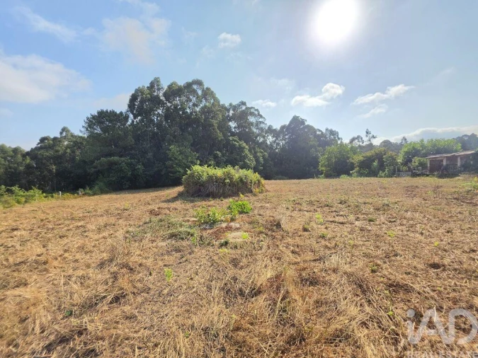 Terreno para Venda em Reboreda e Nogueira Foto 2