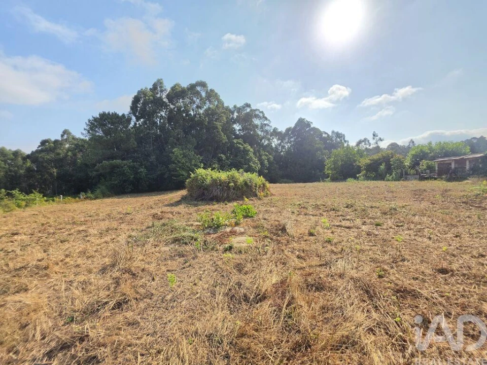 Terreno para Venda em Reboreda e Nogueira Foto 2