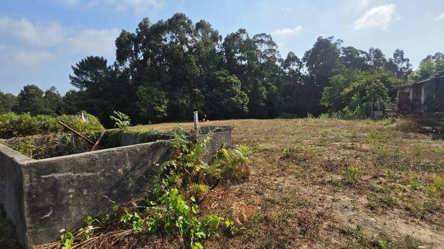 Terreno para Venda em Reboreda e Nogueira