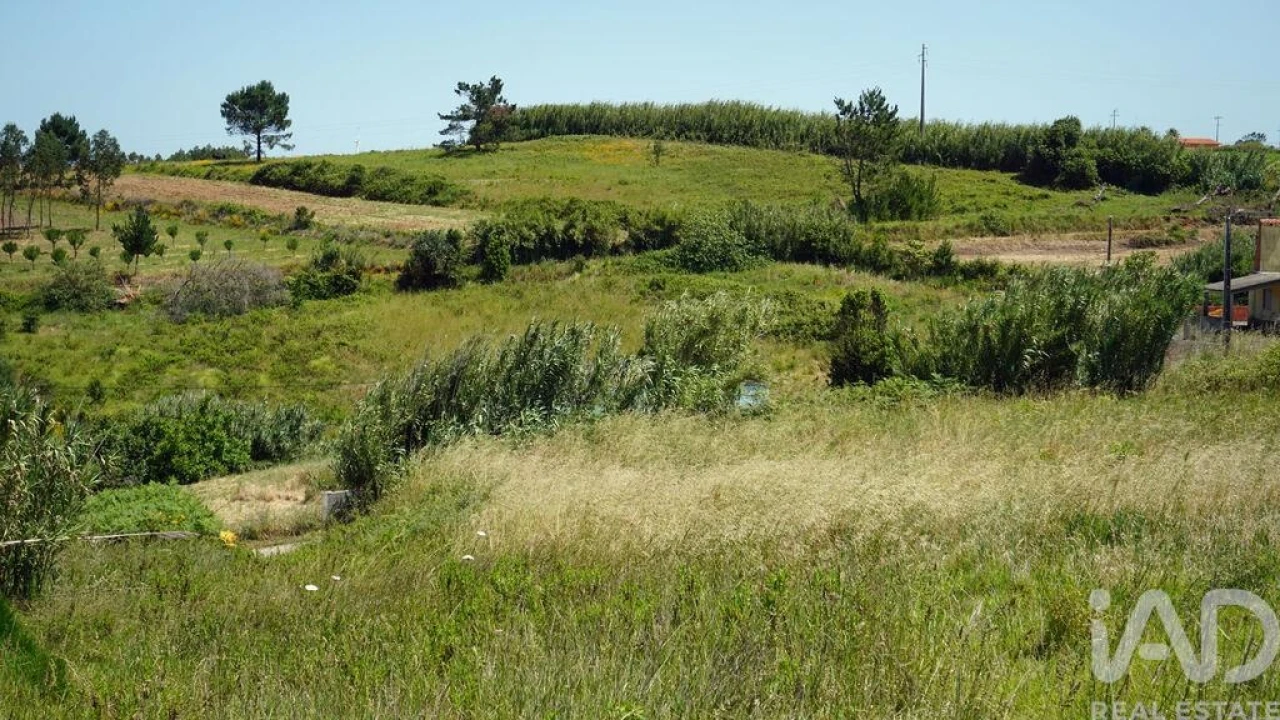 Terreno para Venda em Alfeizerão Foto 10