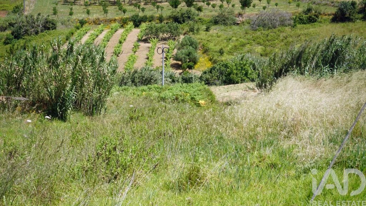 Terreno para Venda em Alfeizerão Foto 11