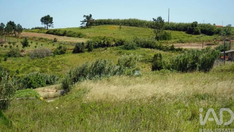 Terreno para Venda em Alfeizerão