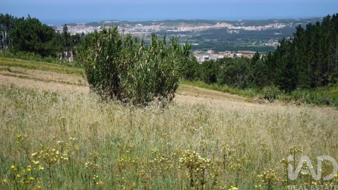 Terreno para Venda em Alfeizerão