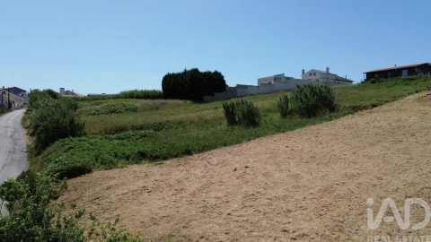 Terreno para Venda em Alfeizerão
