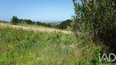 Terreno para Venda em Alfeizerão