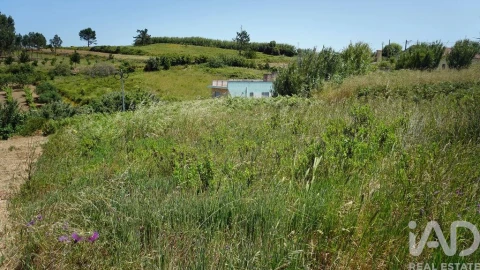 Terreno para Venda em Alfeizerão