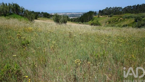 Terreno para Venda em Alfeizerão