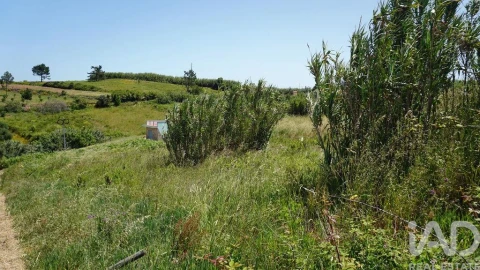 Terreno para Venda em Alfeizerão